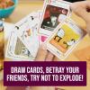 image:imageExploding Kittens Party Pack  210 Players  Ages 7  15 Minutes to Play  Party amp Family Card Game for Kids amp AdultsLarger Party Edition