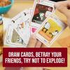 image:imageExploding Kittens Party Pack  210 Players  Ages 7  15 Minutes to Play  Party amp Family Card Game for Kids amp AdultsOriginal Edition